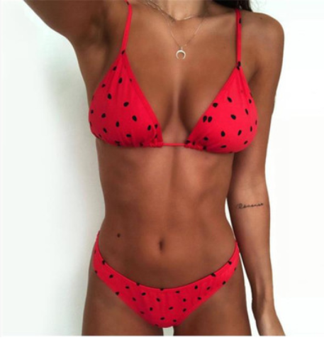 Printed split swimsuit, best selling two-piece bikini